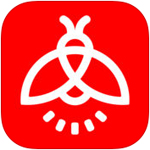 利雅得勝利vs阿爾梅裏亞首發�：C羅領銜 菲利克斯出戰，伊尼戈首秀
